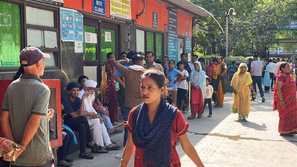 नवरात्रि में कुट्टू का आटा जहरीला 2025: खाने से दिल्ली में सैकड़ों लोग बीमार—खाद्य सुरक्षा पर बड़ा सवाल