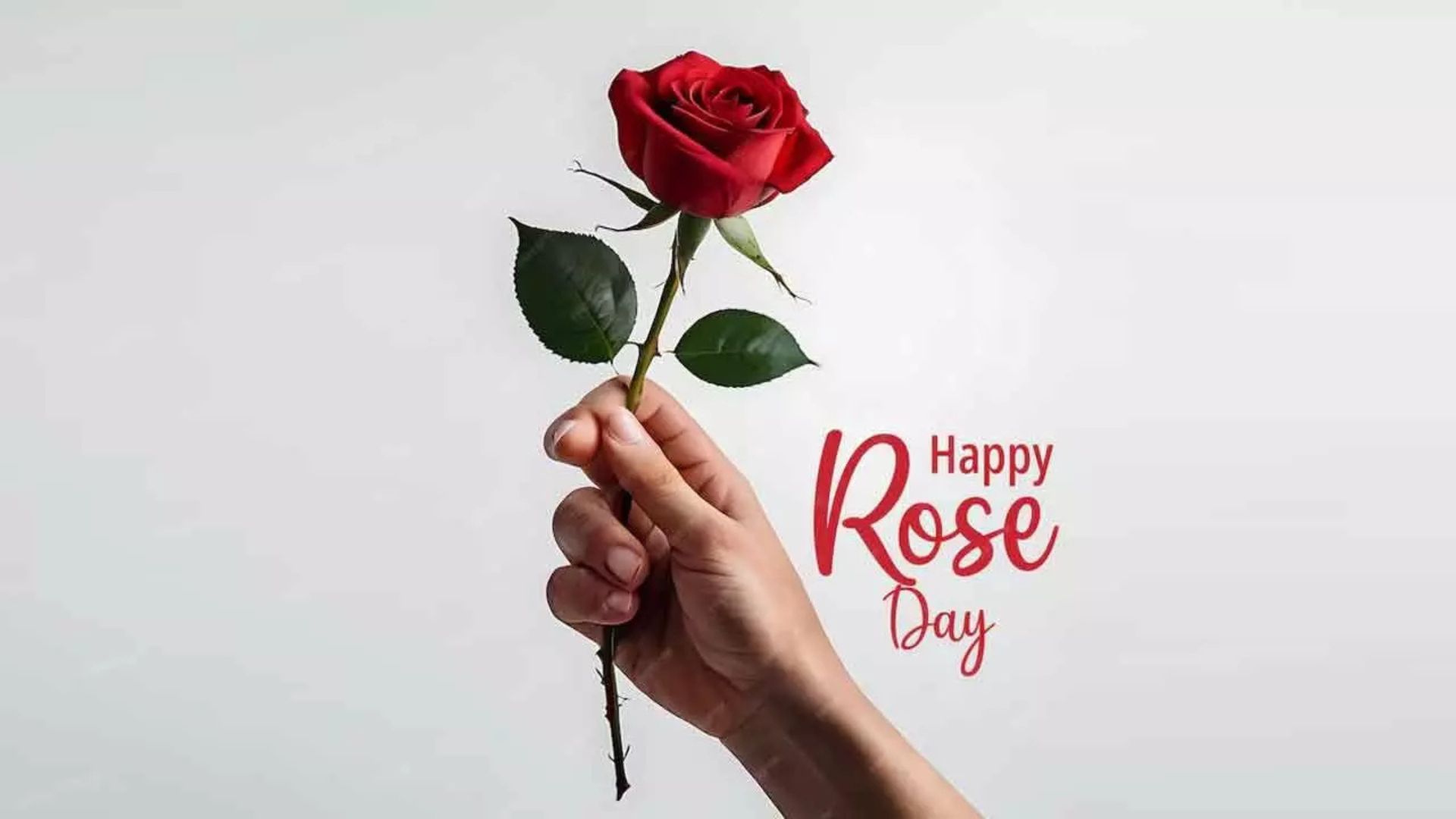 Rose Day